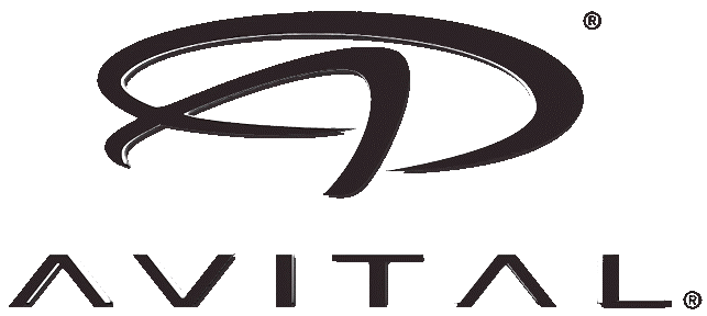 Avital Avital