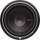 Rockford Fosgate P2D2-10 - Punch P2  10" Subwoofer 2 ohm DVC